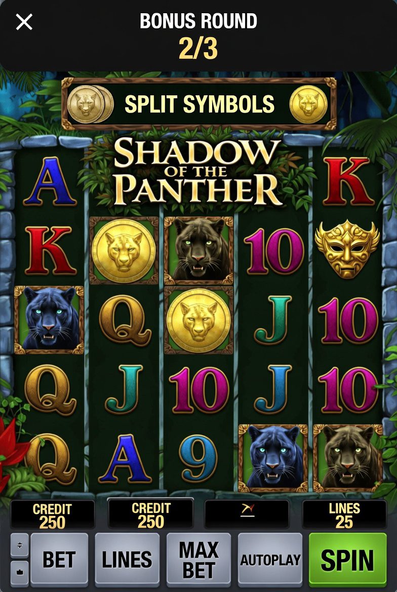 Бонусный раунд в слоте Shadow of the Panther с функцией Split Symbols